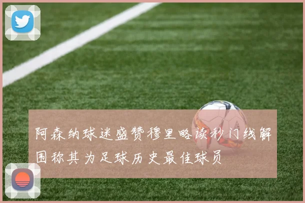 阿森纳球迷盛赞穆里略读秒门线解围称其为足球历史最佳球员